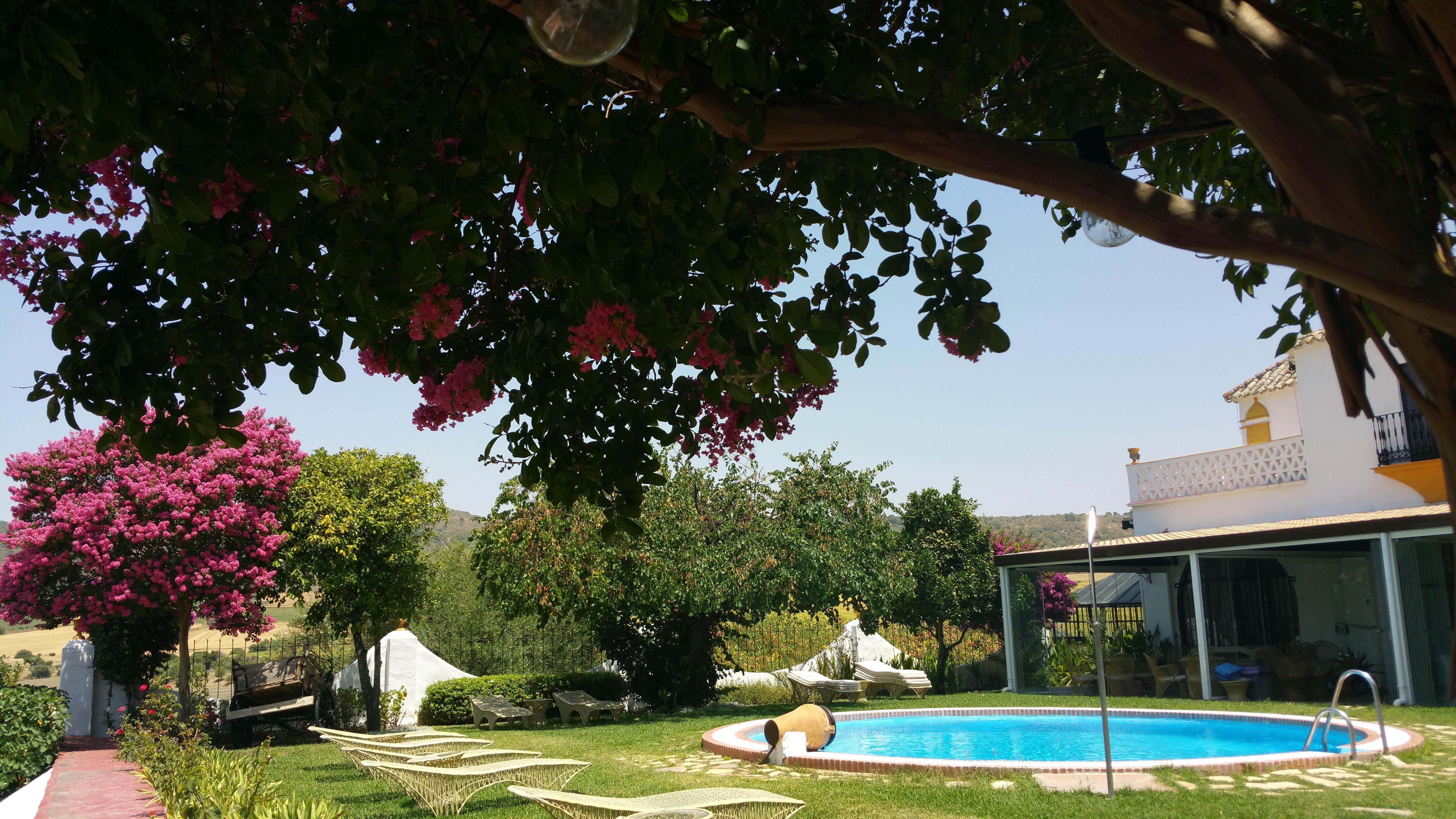 Hacienda El Santiscal Adults Only Hotel Arcos de la Frontera Kültér fotó