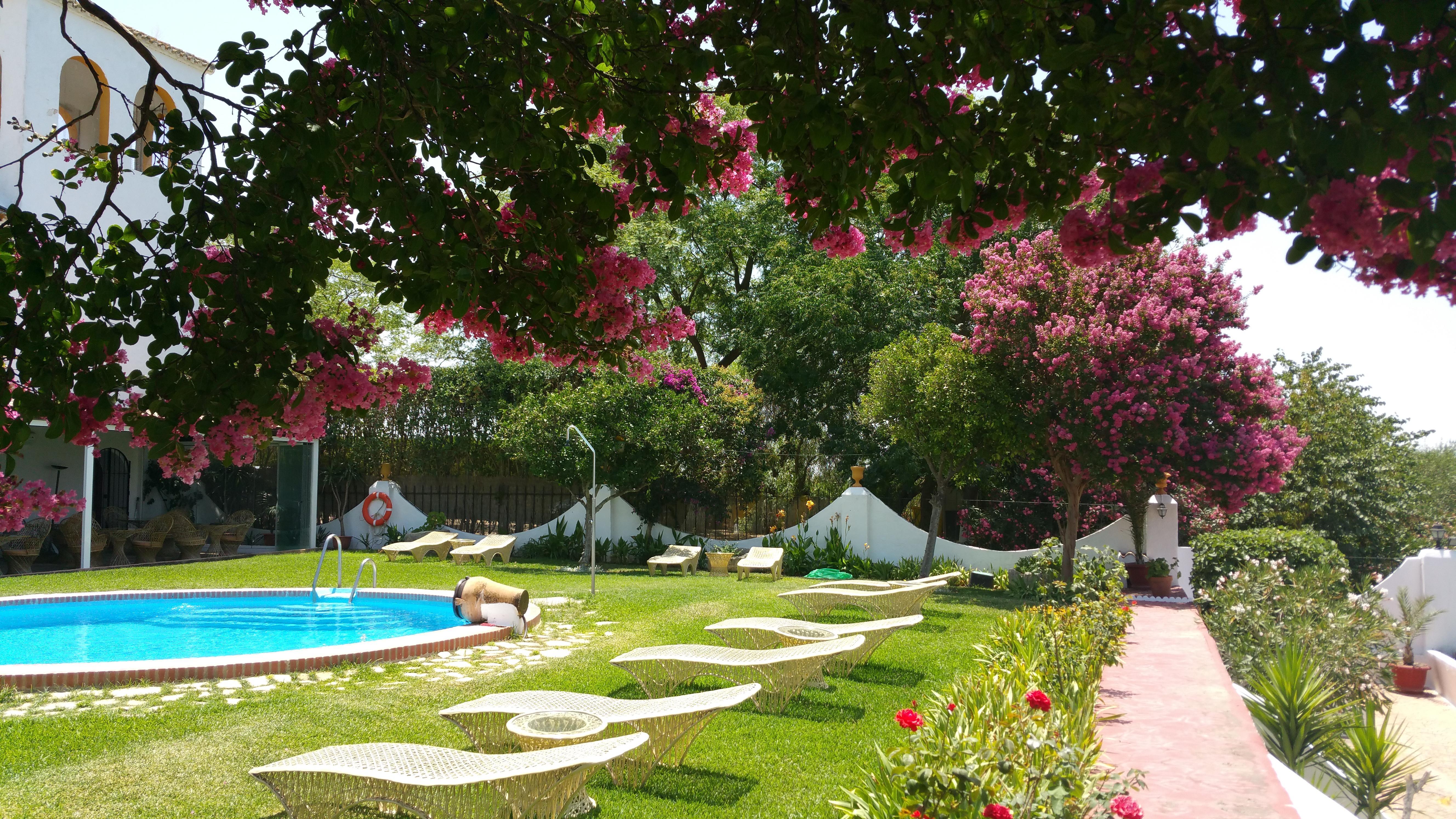 Hacienda El Santiscal Adults Only Hotel Arcos de la Frontera Kültér fotó