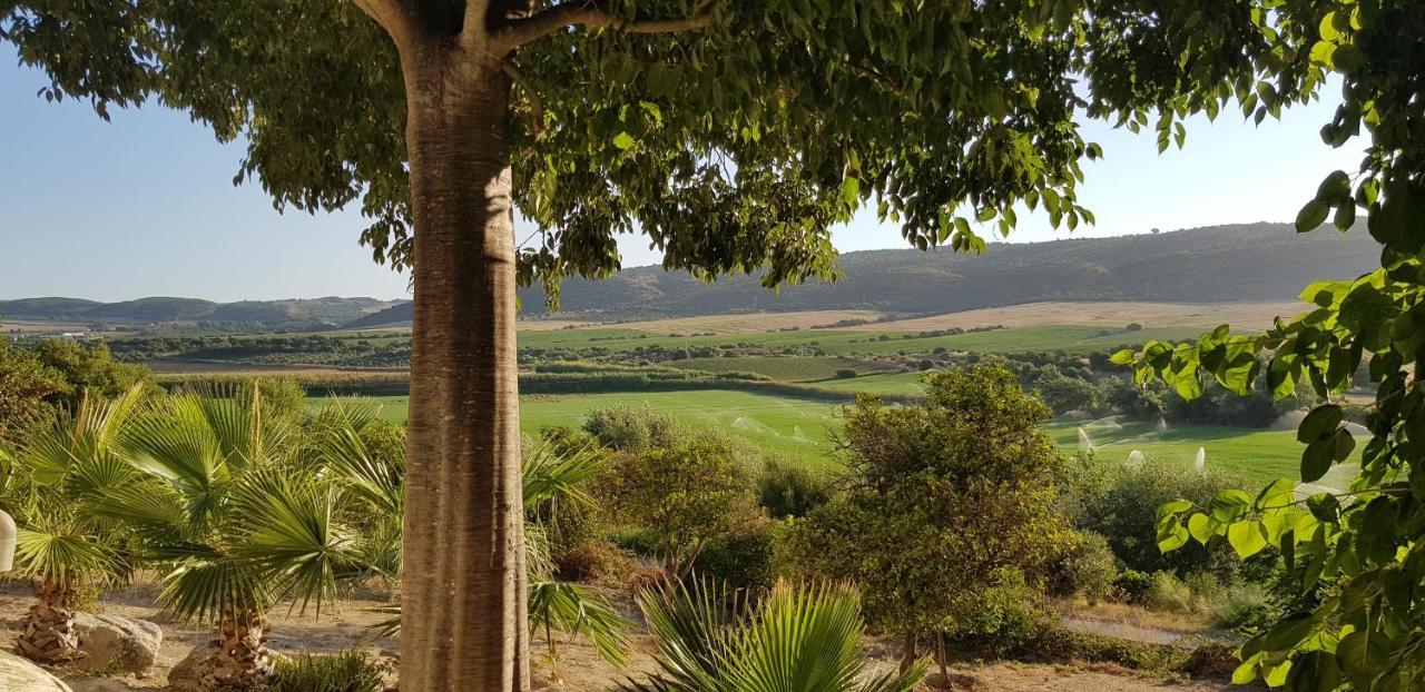 Hacienda El Santiscal Adults Only Hotel Arcos de la Frontera Kültér fotó