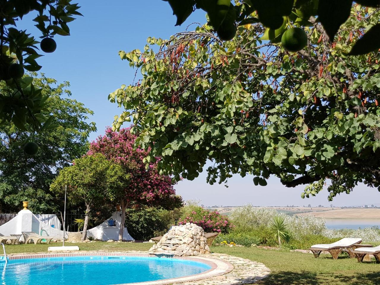 Hacienda El Santiscal Adults Only Hotel Arcos de la Frontera Kültér fotó